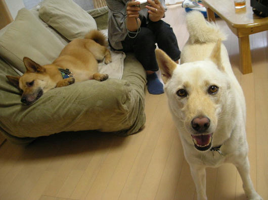 DSCN2893.JPG