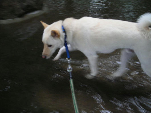 DSCN2916.JPG