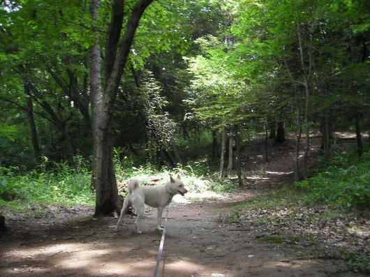 DSCN3046.JPG