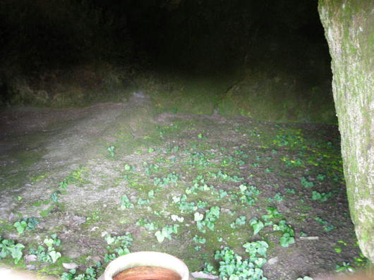 DSCN3091.JPG
