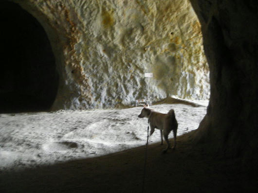 DSCN3121.JPG