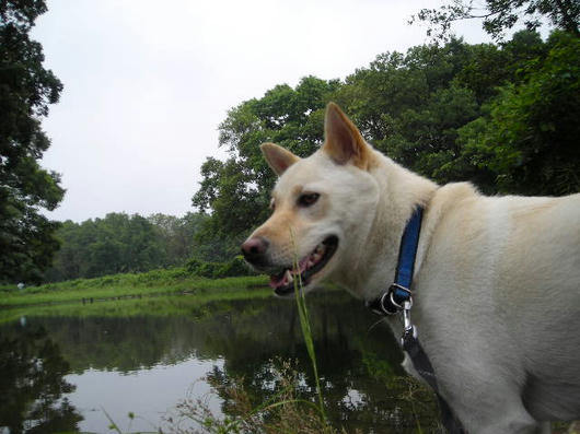 DSCN3153.JPG