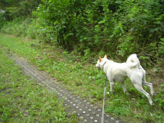 DSCN3139.JPG