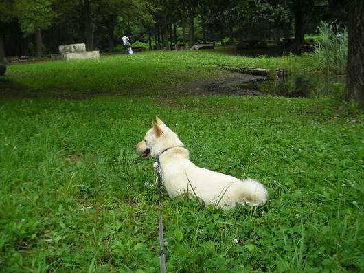 DSCN3164.JPG