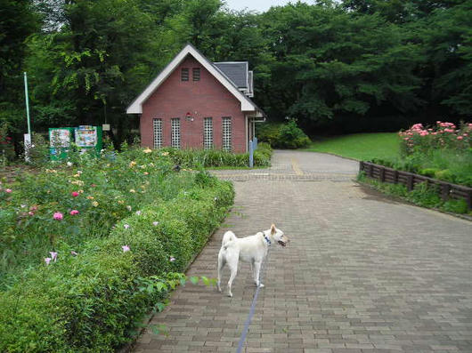 DSCN3191.JPG