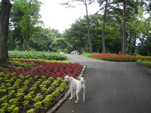 DSCN3209.JPG