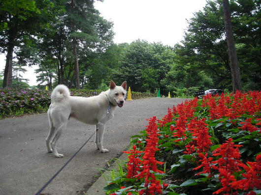 DSCN3213.JPG
