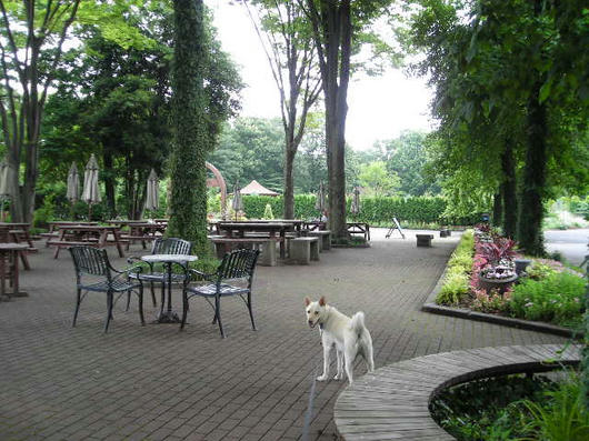 DSCN3220.JPG