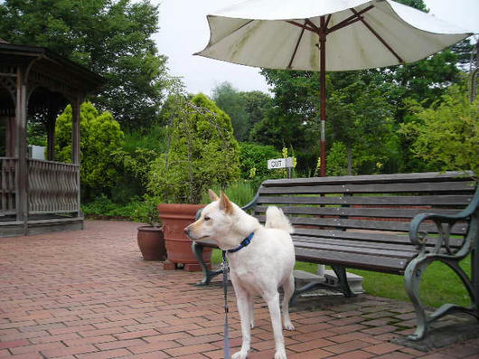 DSCN3230.JPG