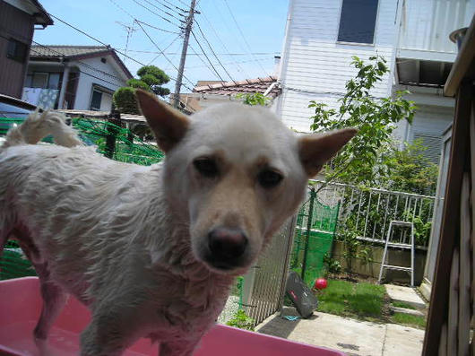 DSCN3251.JPG