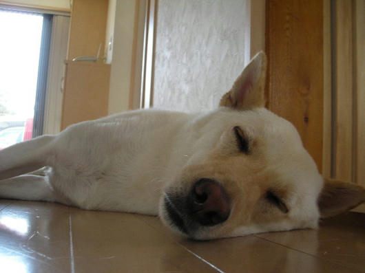 DSCN3271.JPG