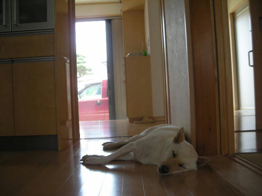 DSCN3270.JPG