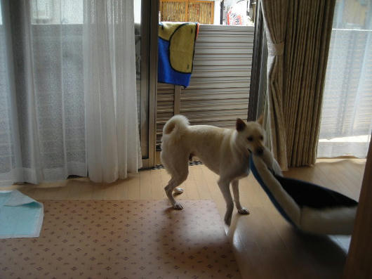DSCN3265.JPG