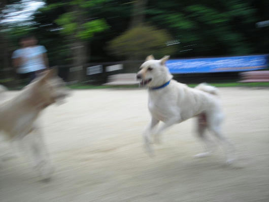 DSCN3276.JPG
