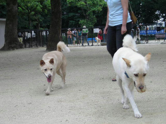 DSCN3300.JPG