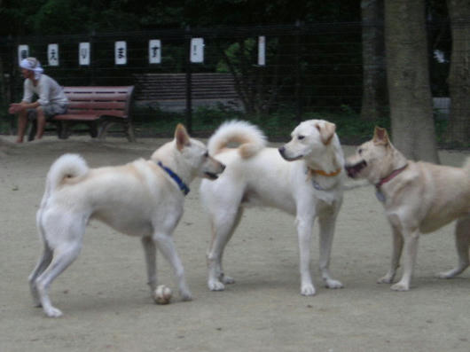 DSCN3312.JPG