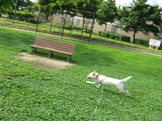 IMG_0199.JPG