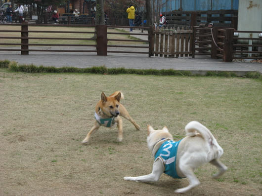 IMG_2824.jpg