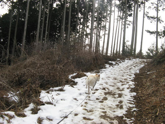 IMG_4472.jpg