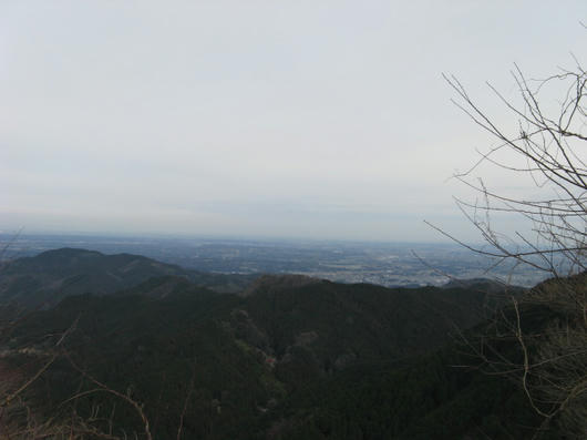 IMG_4490.jpg