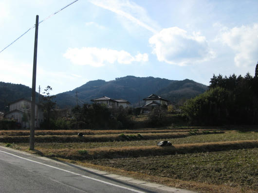 IMG_4738.jpg