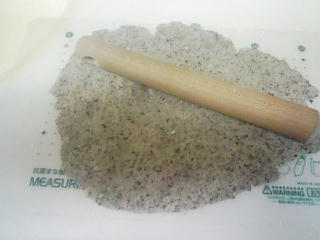 090130_124436_ed.jpg