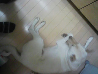 090130_125204_ed.jpg