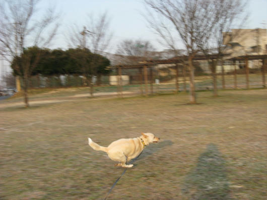 IMG_4788.jpg
