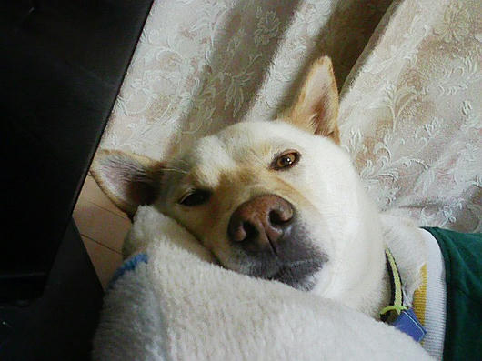 090209_203257.jpg
