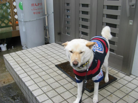 STA_5456.jpg