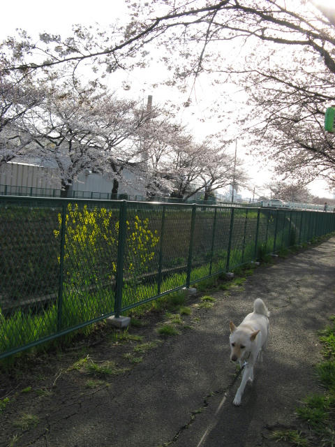 IMG_6455.JPG