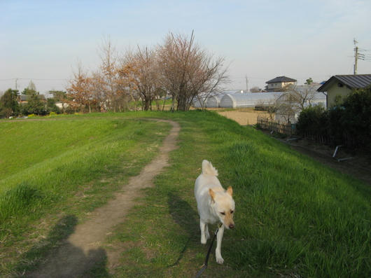 IMG_6473.JPG