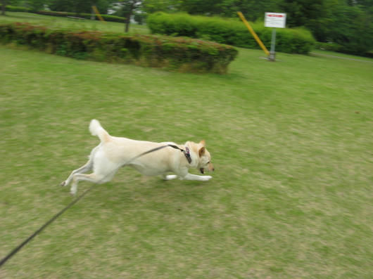 IMG_7433.JPG