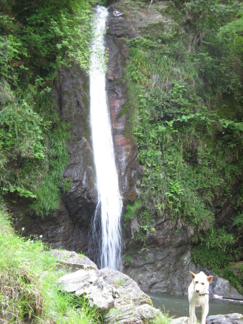 IMG_7698.JPG
