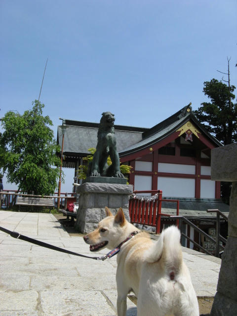 IMG_7898.jpg