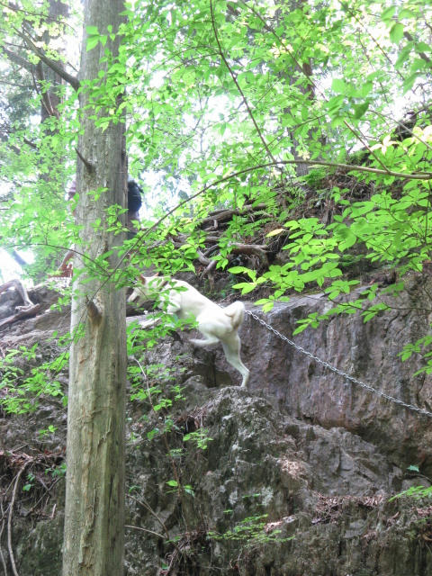 IMG_7962.jpg