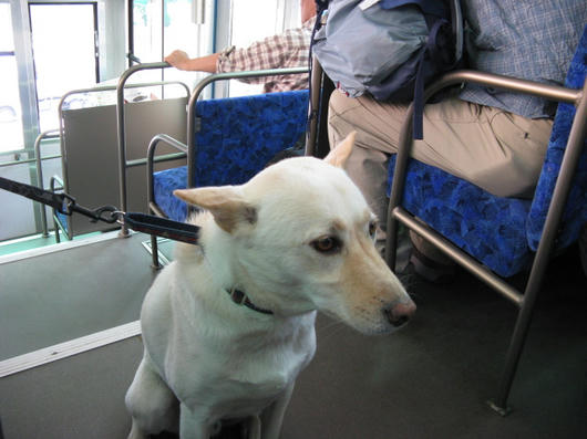 IMG_7864.jpg