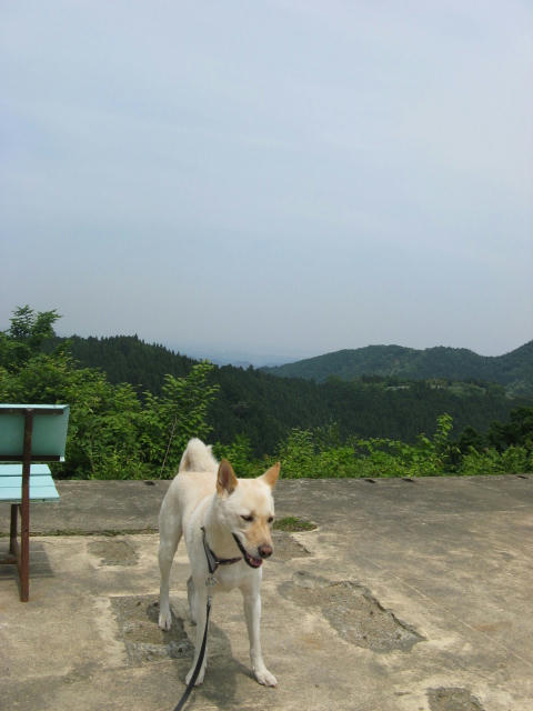 IMG_7998.jpg
