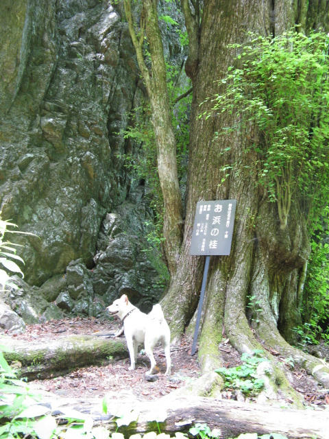 IMG_7987.jpg