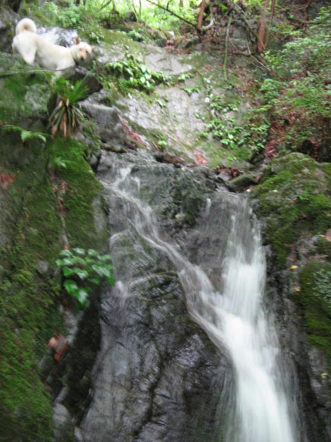 IMG_8084.jpg