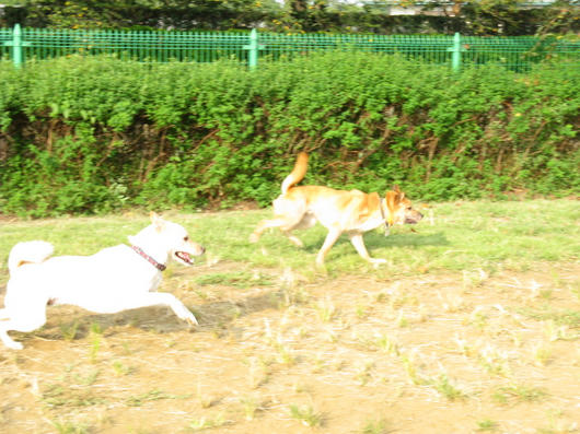 IMG_0035.JPG