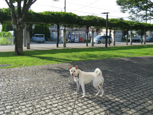 IMG_0411.JPG