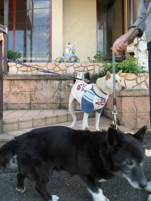 IMG_0601.JPG