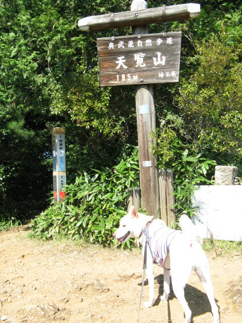 IMG_0845.JPG