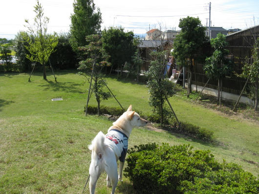 IMG_1267.JPG