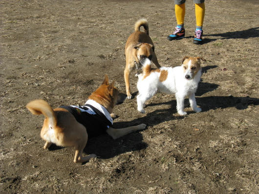 IMG_1885.JPG