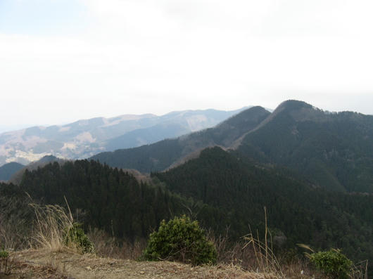 IMG_1666.JPG