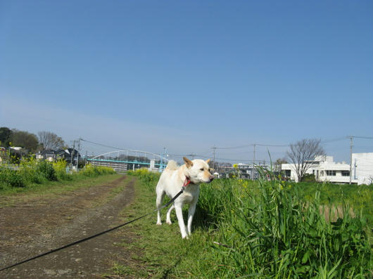 IMG_2225.JPG