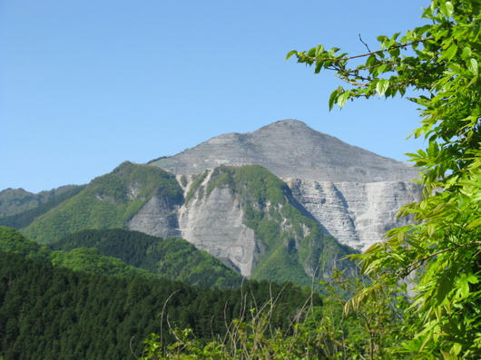 IMG_3312.JPG