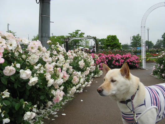IMG_3688.JPG